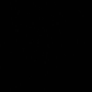 5 Mystery Sweatshirts